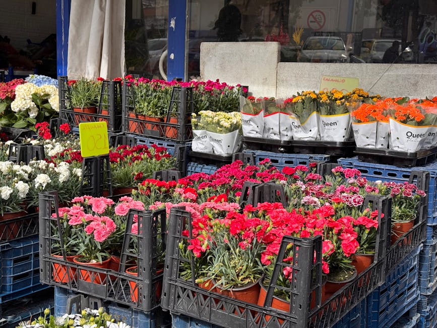 A display of various fresh flowering plants arranged in black plastic crates outside a flower shop, including pink, red, white, yellow, and orange varieties of carnations, with some plants wrapped in 